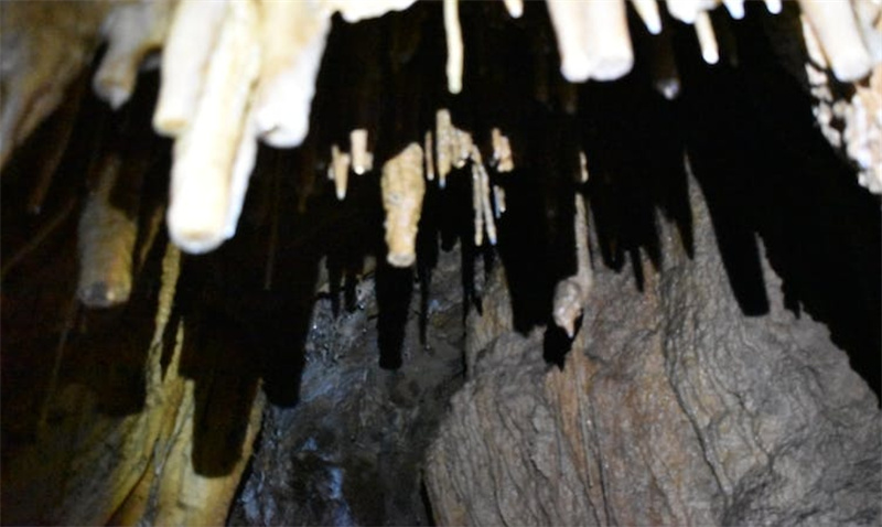 스페인 칸타브리아  콜라도스 델 아손 자연공원 카누 체험 이미지 3