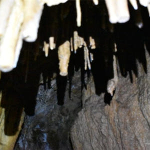 스페인 칸타브리아  콜라도스 델 아손 자연공원 카누 체험 솔직 후기 | 실사용자 리뷰 분석 - 상품 이미지 3