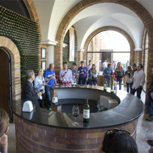 스페인 산세바스타안 라 리오하의 와인 저장고 방문 및 점심 식사 포함 시... 솔직 후기 | 실사용자 리뷰 분석 - 상품 이미지 4