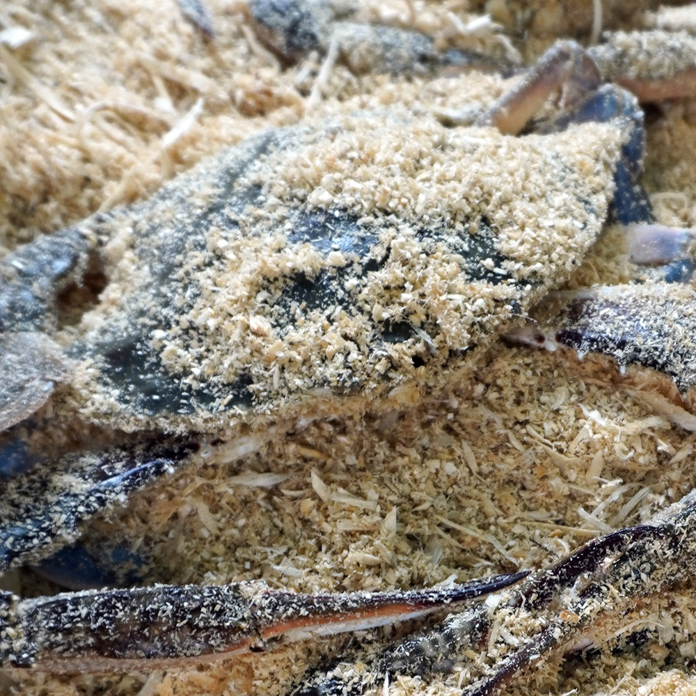 서해안 톱밥포장 생물꽃게 2kg 3kg - 메인 이미지