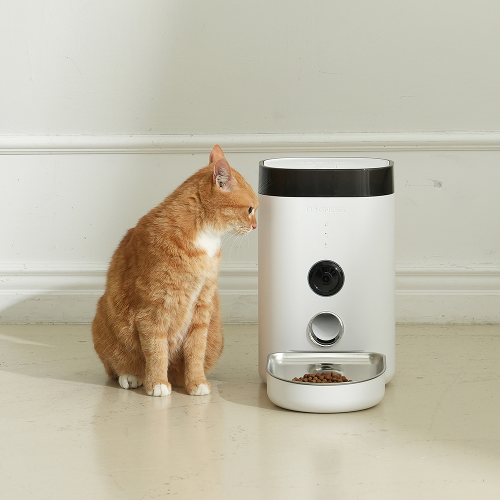 펫쭈 강아지 고양이 자동급식기 F10 스마트  펫 이미지 7