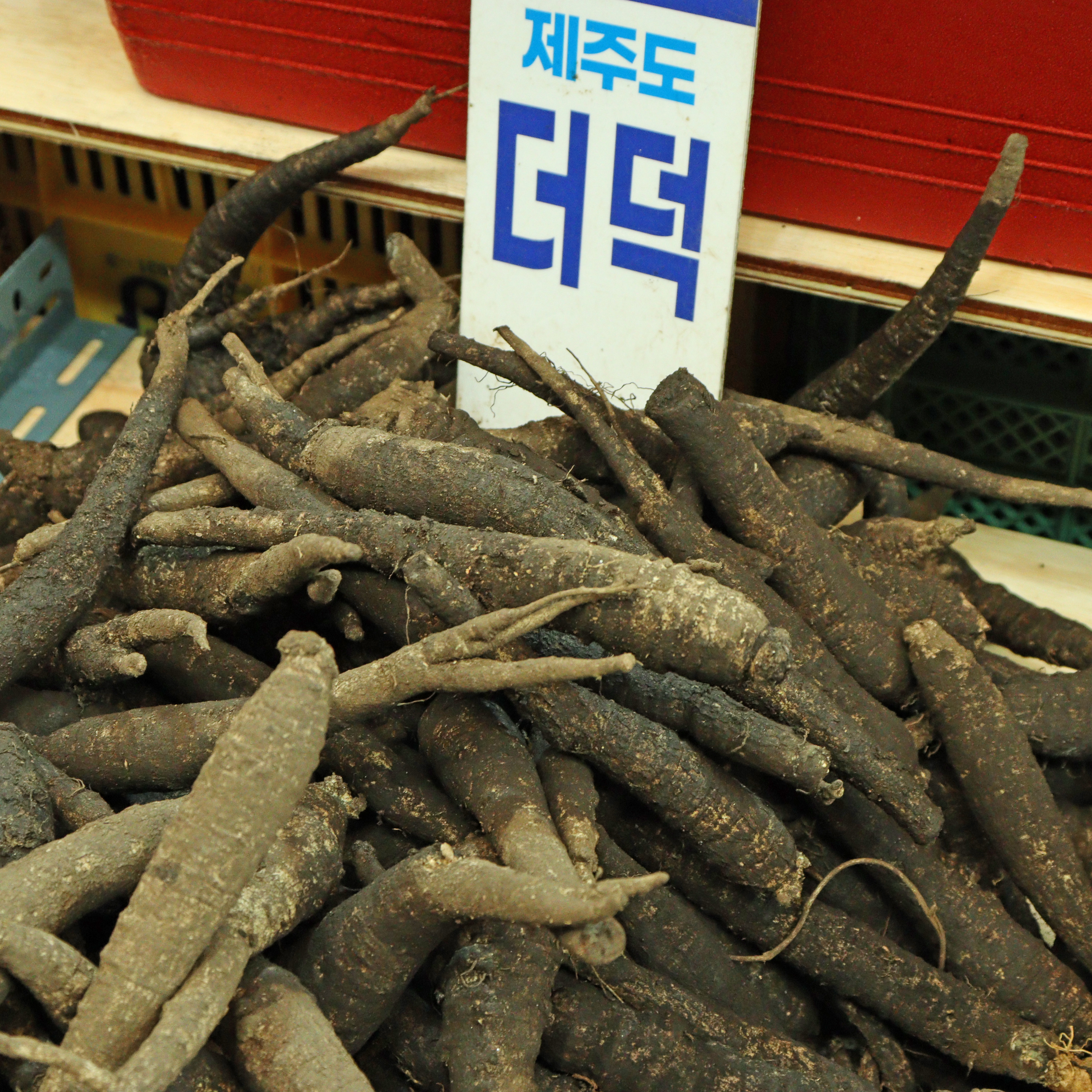 [포항시 배달] 제주산 더덕 (중) 1kg [죽도 울릉도라지] : 동네시장 장보기