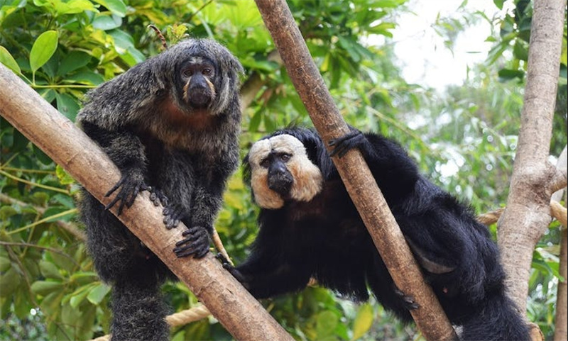 스페인  말라가 셀워 마리나 패스트트랙 입장권 이미지 3
