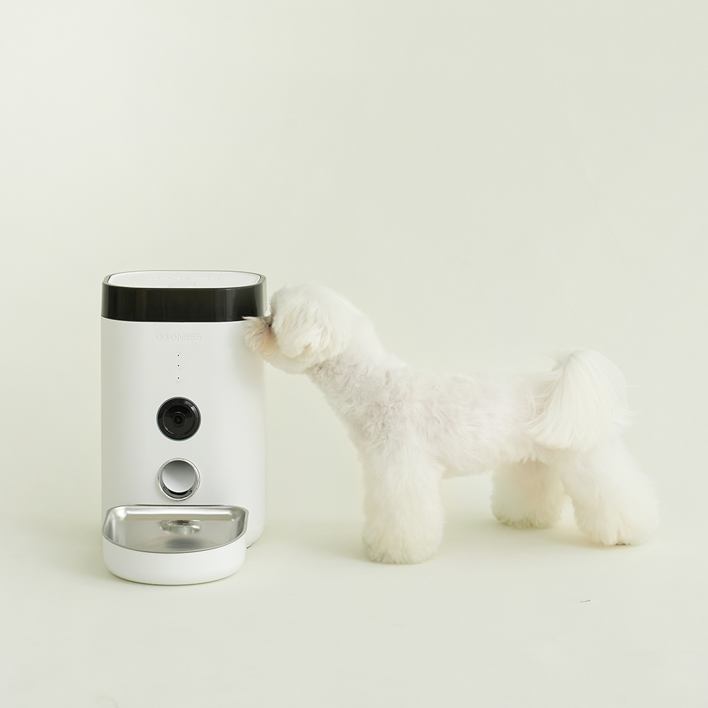 펫쭈 강아지 고양이 자동급식기 F10 스마트 펫 - 상세 이미지 4