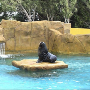 스페인  말라가 셀워 마리나 패스트트랙 입장권 솔직 후기 | 실사용자 리뷰 분석 - 상품 이미지 1