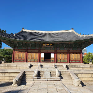 [서울] 전문 해설 가이드와 함께 떠나는 덕수궁 투어 솔직 후기 | 실사용자 리뷰 분석 - 상품 이미지 1