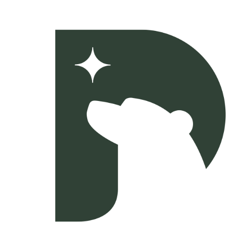 폴라리스 캠프 스토어 로고