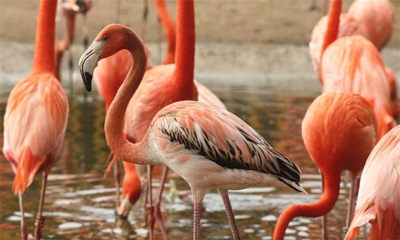 스페인  말라가 셀워 마리나 패스트트랙 입장권 이미지 2