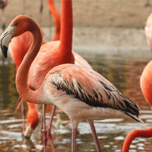 스페인  말라가 셀워 마리나 패스트트랙 입장권 솔직 후기 | 실사용자 리뷰 분석 - 상품 이미지 2