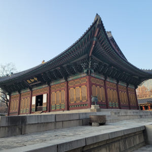 [서울] 전문 해설 가이드와 함께 떠나는 덕수궁 투어 솔직 후기 | 실사용자 리뷰 분석 - 상품 이미지 3