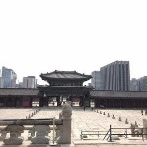 [서울] 전문 해설 가이드와 함께 떠나는 덕수궁 투어 솔직 후기 | 실사용자 리뷰 분석 - 상품 이미지 4