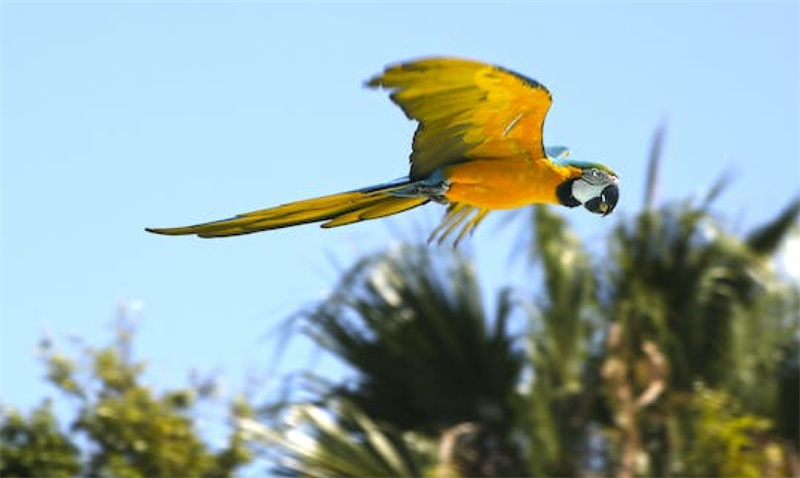 스페인  말라가 셀워 마리나 패스트트랙 입장권 이미지 4