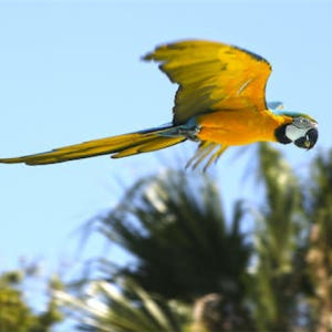 스페인  말라가 셀워 마리나 패스트트랙 입장권 솔직 후기 | 실사용자 리뷰 분석 - 상품 이미지 4