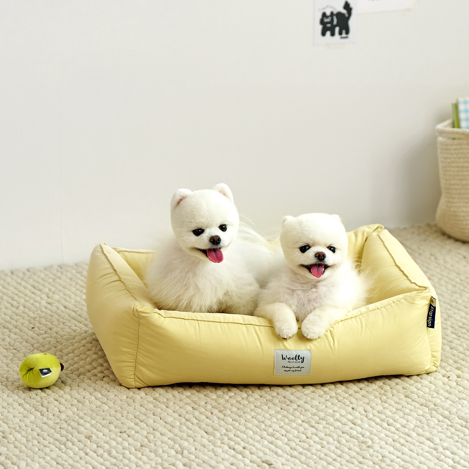 울리 포그니 알러지케어 강아지 방석 고양이 쿠션 M