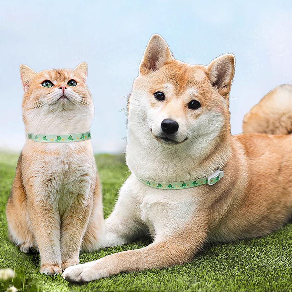 강아지진드기목걸이 애견 해충방지 모기 벌레퇴치 목걸이 1+1 S - 상품 이미지