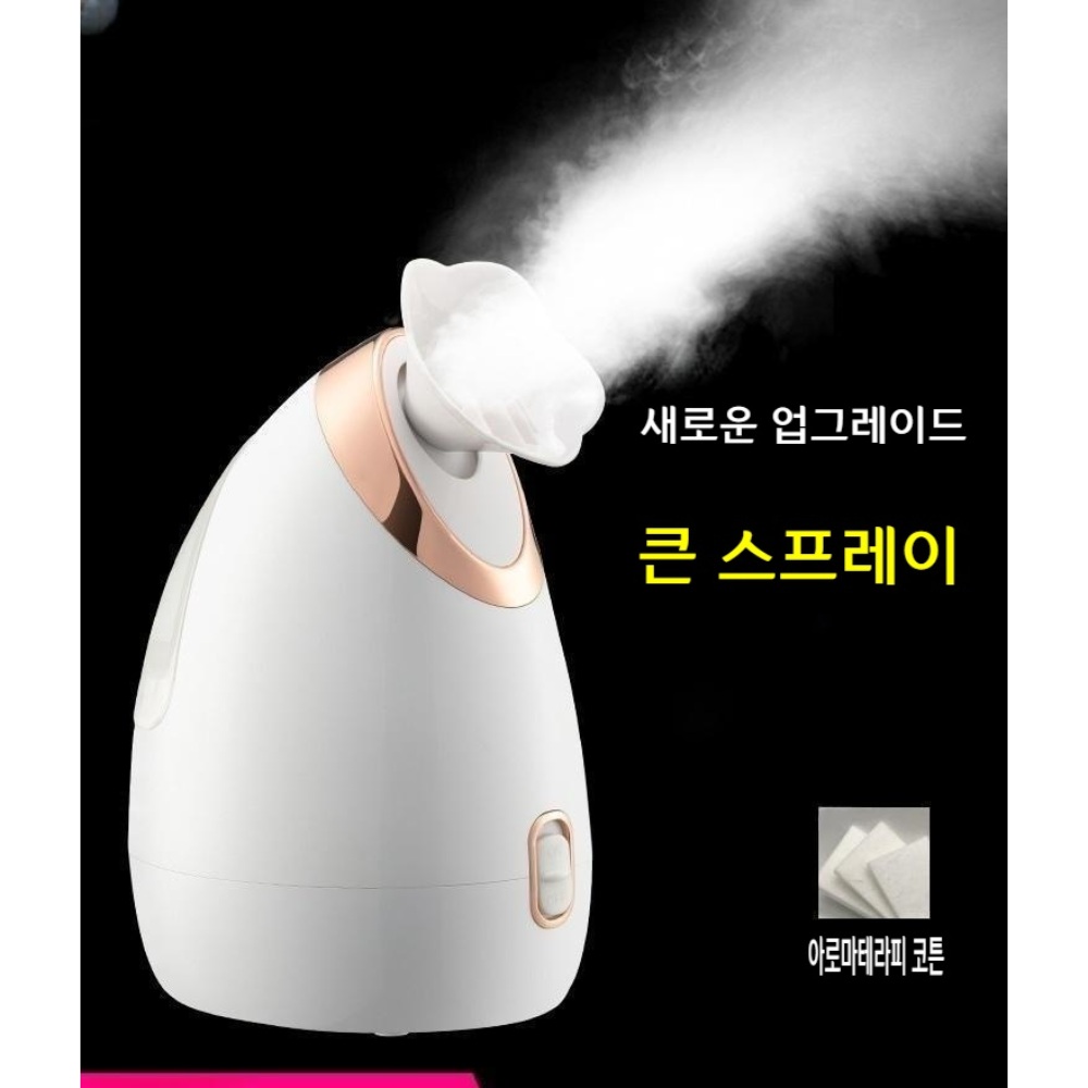 얼굴스팀기 얼굴 안면 케어 가정용 수분공급 스팀기 피부 이미지 2
