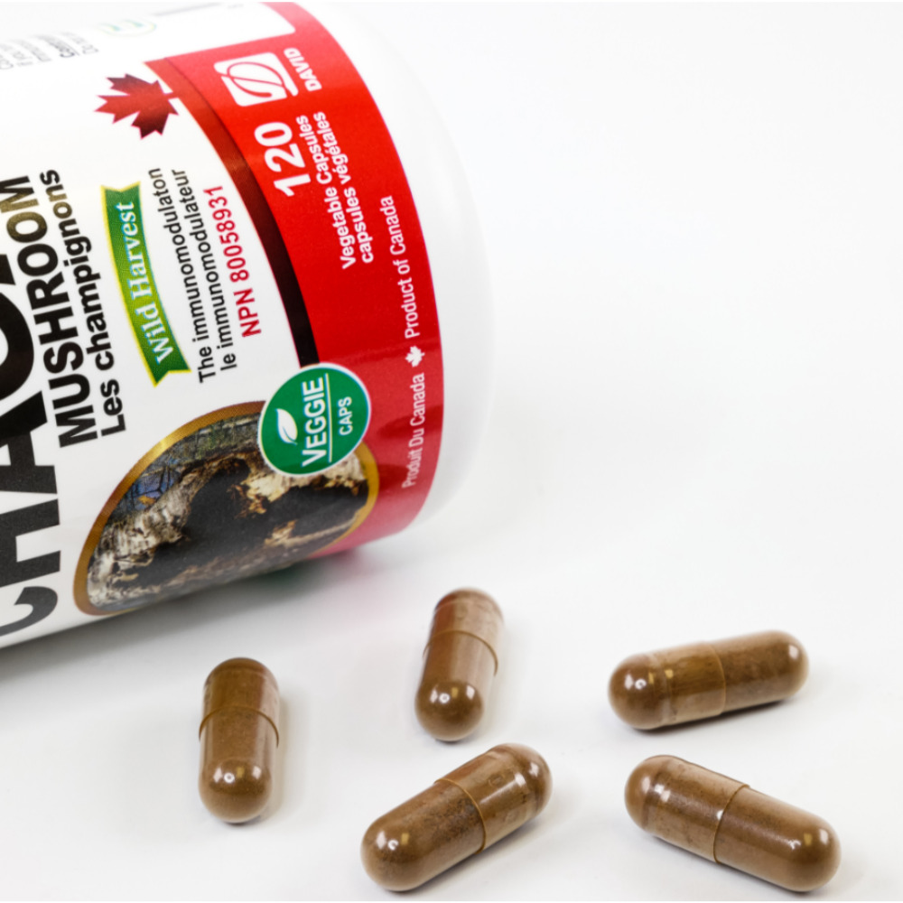 뉴트리돔 캐나다 야생 차가 버섯 360mg 고함량 120캡슐 N112 - 상세 이미지 2