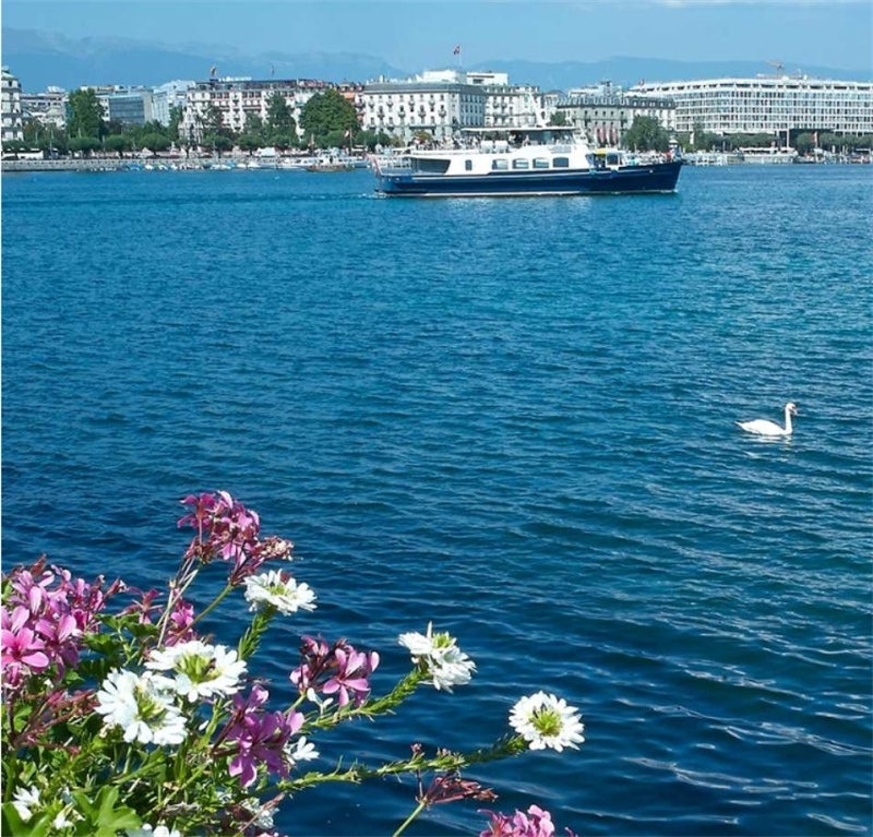 스위스 제네바   보트 투어 이미지 2