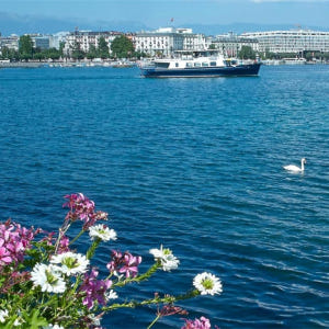 스위스 제네바   보트 투어 솔직 후기 | 실사용자 리뷰 분석 - 상품 이미지 2