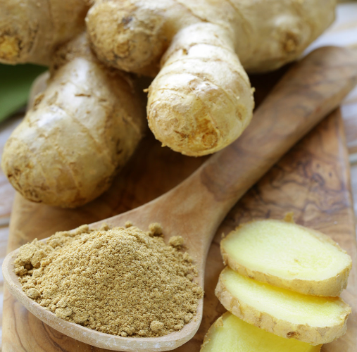 토종약생강 흙햇생강 제철 특상등급