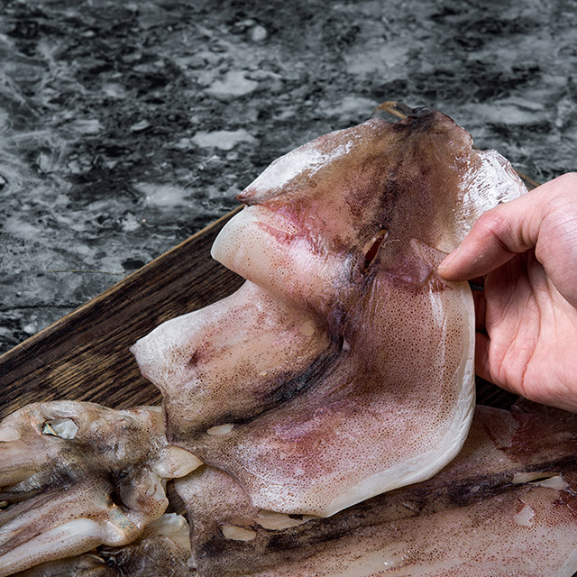 두툼한 특대 반건조 오징어 5마리 휴게소 오징어 피데기