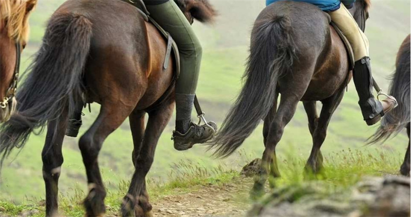 아이슬란드 레이캬비크 골든 서클 및 승마 일일 투어 이미지 4
