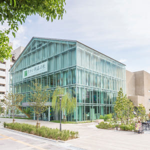 오사카 '사카이 리쇼노모리' 차노유(茶の湯) 체험 솔직 후기 | 실사용자 리뷰 분석 - 상품 이미지 2