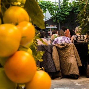 아이슬란드 일일 투어 레이캬비크의 골든 서클 및 프리드헤이마르 온실 솔직 후기 | 실사용자 리뷰 분석 - 상품 이미지 4