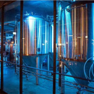 아이슬란드 레이캬비크 아이슬란드 | 맥주 문화 체험이 있는 레이캬비크의 ... 솔직 후기 | 실사용자 리뷰 분석 - 상품 이미지 2