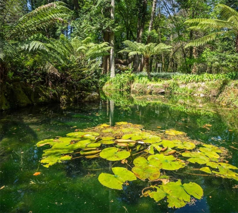 신트라 포르투갈 몬세라테 궁전 입장권 이미지 2