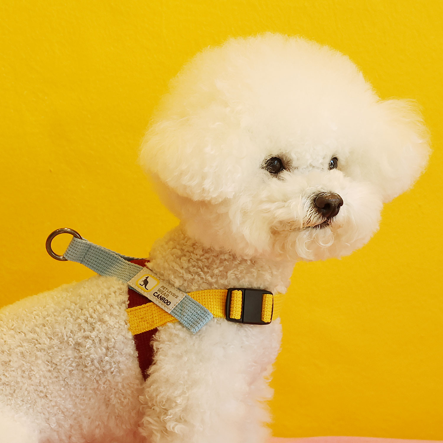 캔루 자석 버클 L형 하네스 산책 강아지 가슴줄 커스텀 애견 S 소형견 - 상품 이미지
