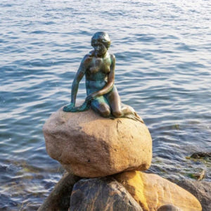 덴마크 | 코펜하겐 공항 CPH에서 코펜하겐 시내까지 전용 차량 픽업 중... 솔직 후기 | 실사용자 리뷰 분석 - 상품 이미지 3