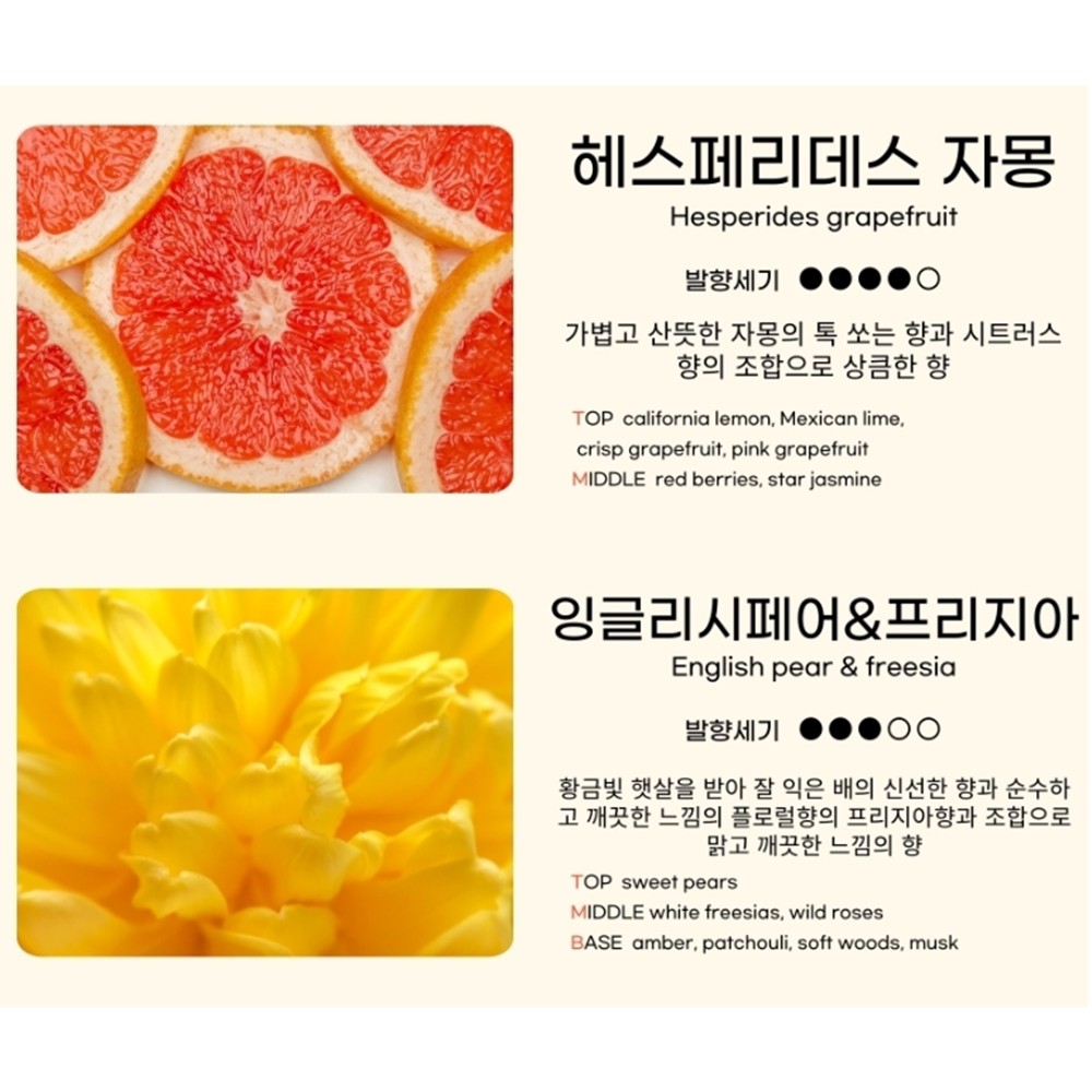 차량용방향제리필액 자동차 차향제 디퓨저 리필 - 상세 이미지 5