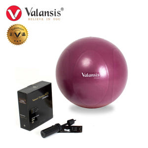 밸런시스 케이짐볼 홈트레이닝 55cm 인디핑크 운동러 솔직 후기 | 실사용 리뷰 - 상품 이미지 4