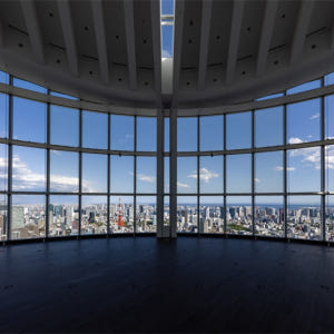 도쿄 시티뷰(롯폰기) 입장권 솔직 후기 | 실사용자 리뷰 분석 - 상품 이미지 2