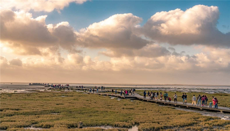 대만  타이중 고미습지 일몰 반나절 투어 (타이중 출발) 이미지 2