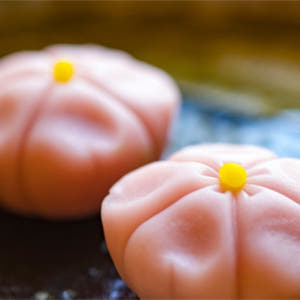 전통 일본 가옥에서 즐기는 오마카세 다관 밥상 솔직 후기 | 실사용자 리뷰 분석 - 상품 이미지 2