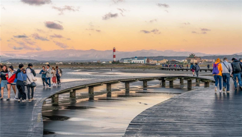 대만  타이중 고미습지 일몰 반나절 투어 (타이중 출발) 이미지 3
