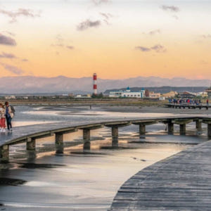 대만  타이중 고미습지 일몰 반나절 투어 (타이중 출발) 솔직 후기 | 실사용자 리뷰 분석 - 상품 이미지 3