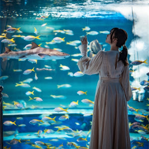 고베 도심형 수족관 AQUARIUM ART átoa 입장권 솔직 후기 | 실사용자 리뷰 분석 - 상품 이미지 2