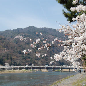 [교토 정기 관광버스] SW 토롯코 열차+호즈가와 투어 차내 오디오 가이... 솔직 후기 | 실사용자 리뷰 분석 - 상품 이미지 2