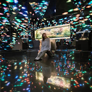 고베 도심형 수족관 AQUARIUM ART átoa 입장권 솔직 후기 | 실사용자 리뷰 분석 - 상품 이미지 1