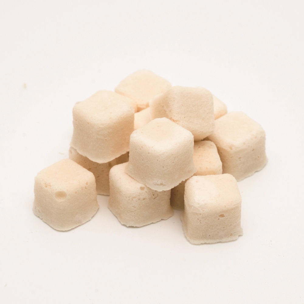 사계바이트 유기농 산양유 강아지 고양이 동결건조 간식 후코이단, 40g, 1개 - 상세 이미지 2