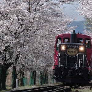 [교토 정기 관광버스] SW 토롯코 열차+호즈가와 투어 차내 오디오 가이... 솔직 후기 | 실사용자 리뷰 분석 - 상품 이미지 4