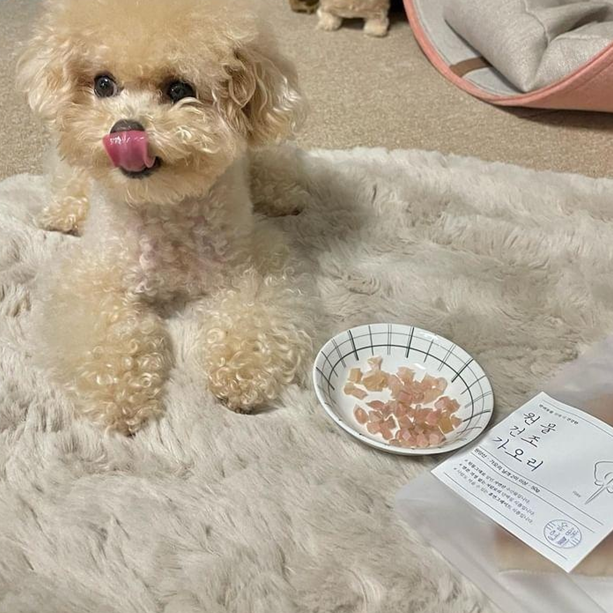 동해형씨 원물건조 가오리 수제간식 60g - 상세 이미지 3