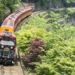 [교토 정기 관광버스] SW 토롯코 열차+호즈가와 투어 차내 오디오 가이... 솔직 후기 | 실사용자 리뷰 분석 - 상품 이미지 1