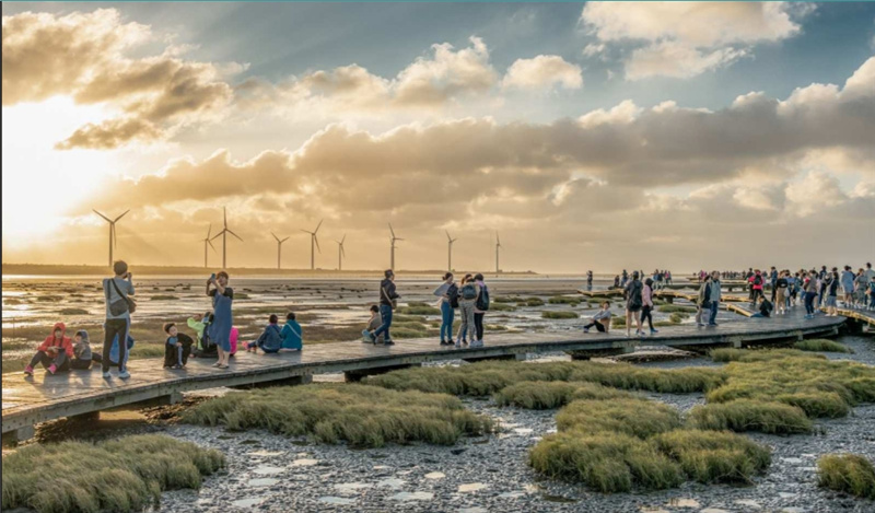 대만  타이중 고미습지 일몰 반나절 투어 (타이중 출발) 이미지 4