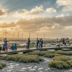 대만  타이중 고미습지 일몰 반나절 투어 (타이중 출발) 솔직 후기 | 실사용자 리뷰 분석 - 상품 이미지 4