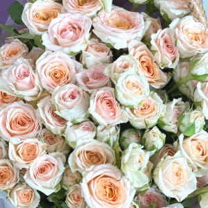 리틀캠든 미니 장미 100송이 생화택배 생화꽃다발 정기구독 솔직 후기 | 실사용자 리뷰 분석 - 상품 이미지 4