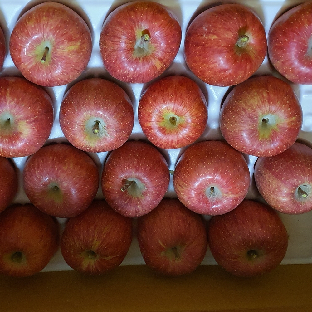 무설탕 문경 명품 생사과즙 100% 원물 착즙 120ml x 50포